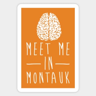Meet Me In Montauk Brain Magnet